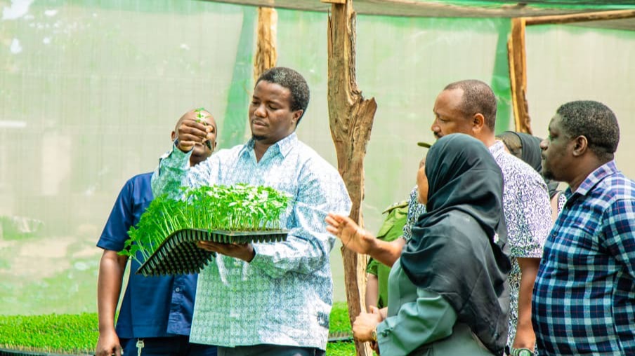 SILINDE AZINDUA KITALU NYUMBA KUONGEZA MICHE BORA