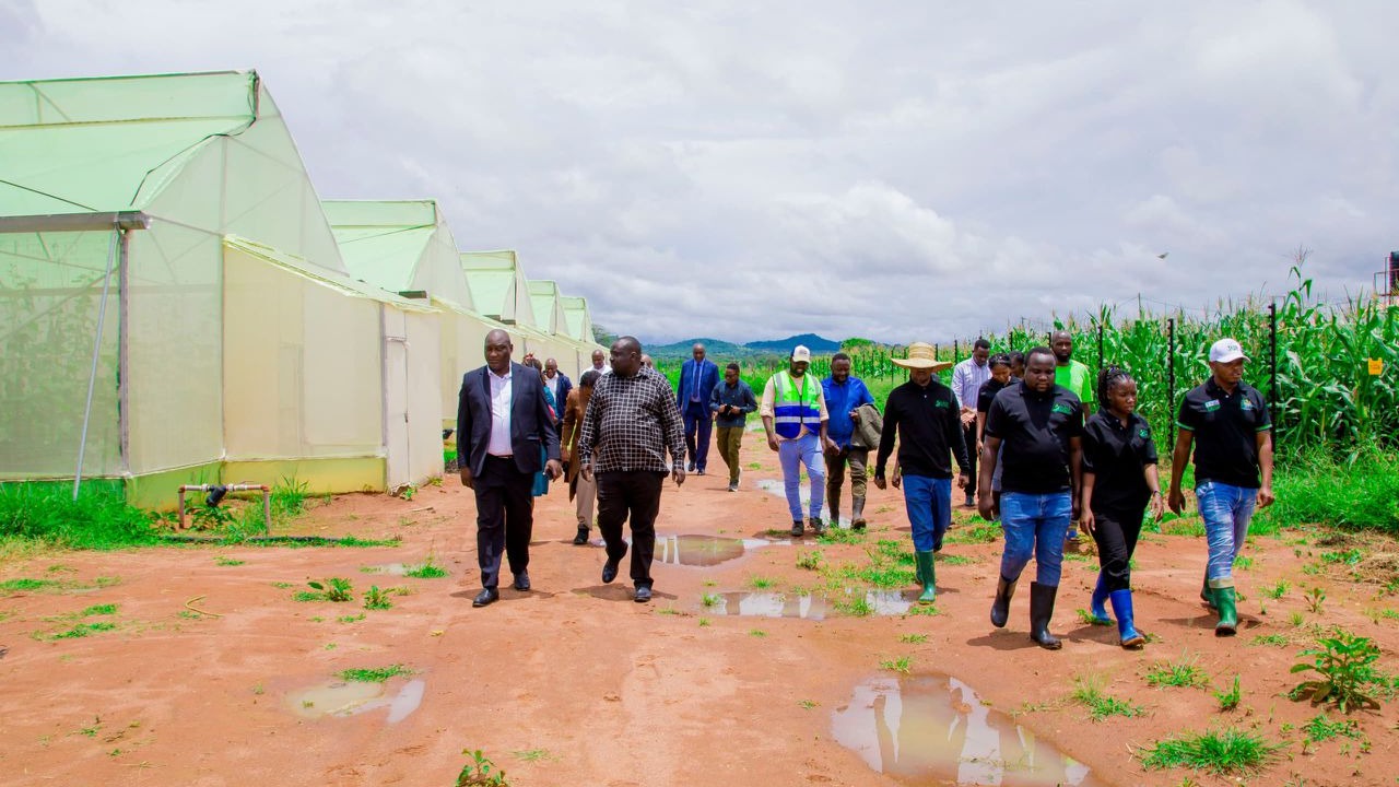 CHONGOLO AKAGUA MAENDELEO YA SHAMBA LA PAMOJA CHINANGALI