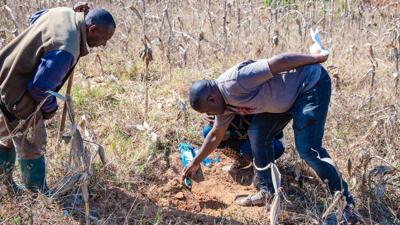 WAKULIMA KUFAIDIKA NA MAJARIBIO YA KUPIMA UDONGO KUPUNGUZA TINDAKILI
