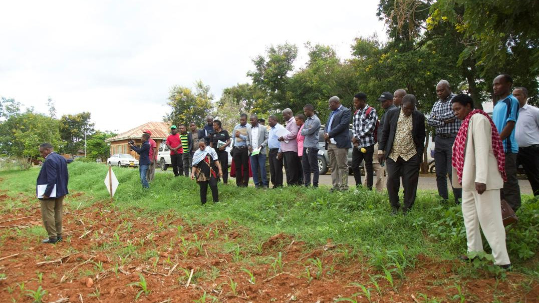 Moa Kamati Ya Kudumu Ya Bunge Ya Kilimo Yafanya Ziara Mkoani Iringa